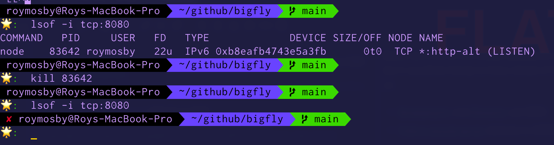 image of LSOF command and then kill command